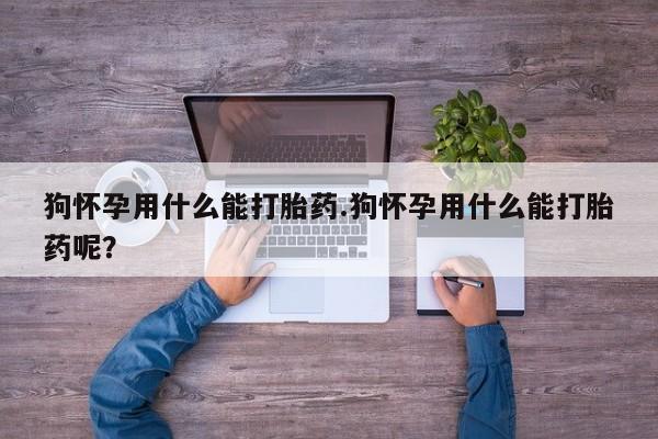 打胎药在线购买方式狗怀孕用什么能打胎药.狗怀孕用什么能打胎药呢？