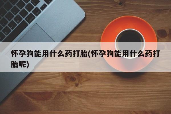 打胎药在线购买方式怀孕狗能用什么药打胎(怀孕狗能用什么药打胎呢)