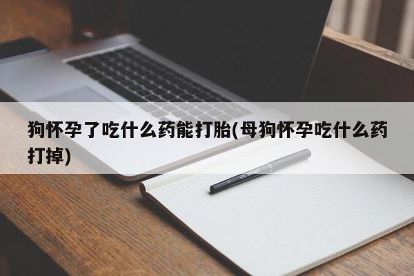 打胎药在线购买方式狗怀孕了吃什么药能打胎(母狗怀孕吃什么药打掉)